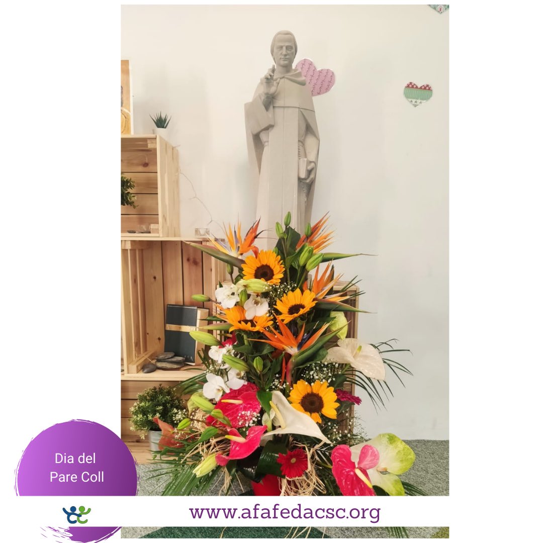 AFA FEDAC SC tweet media