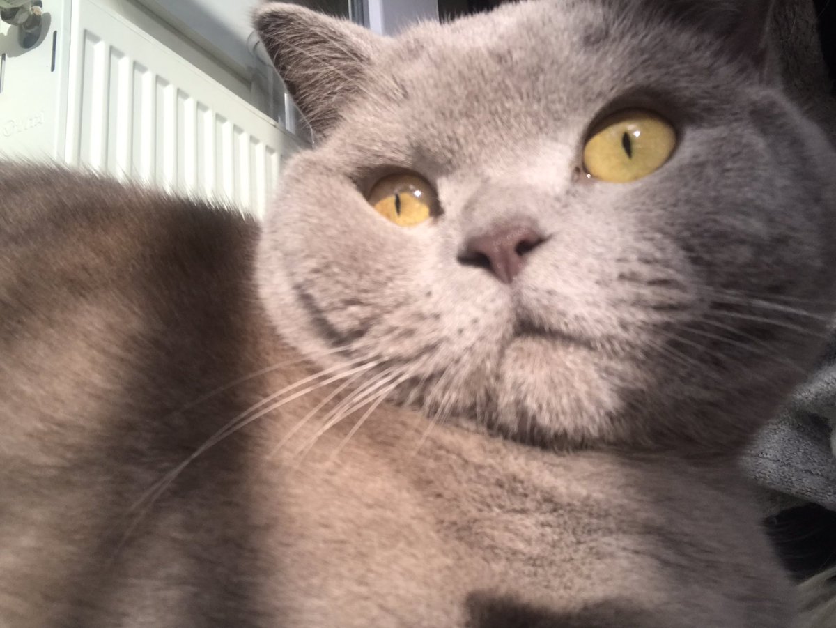 Bügüm benim dohum günümsüymüş igi (2) yaçında gojuman bi kıs ondum bne 🌸🌸