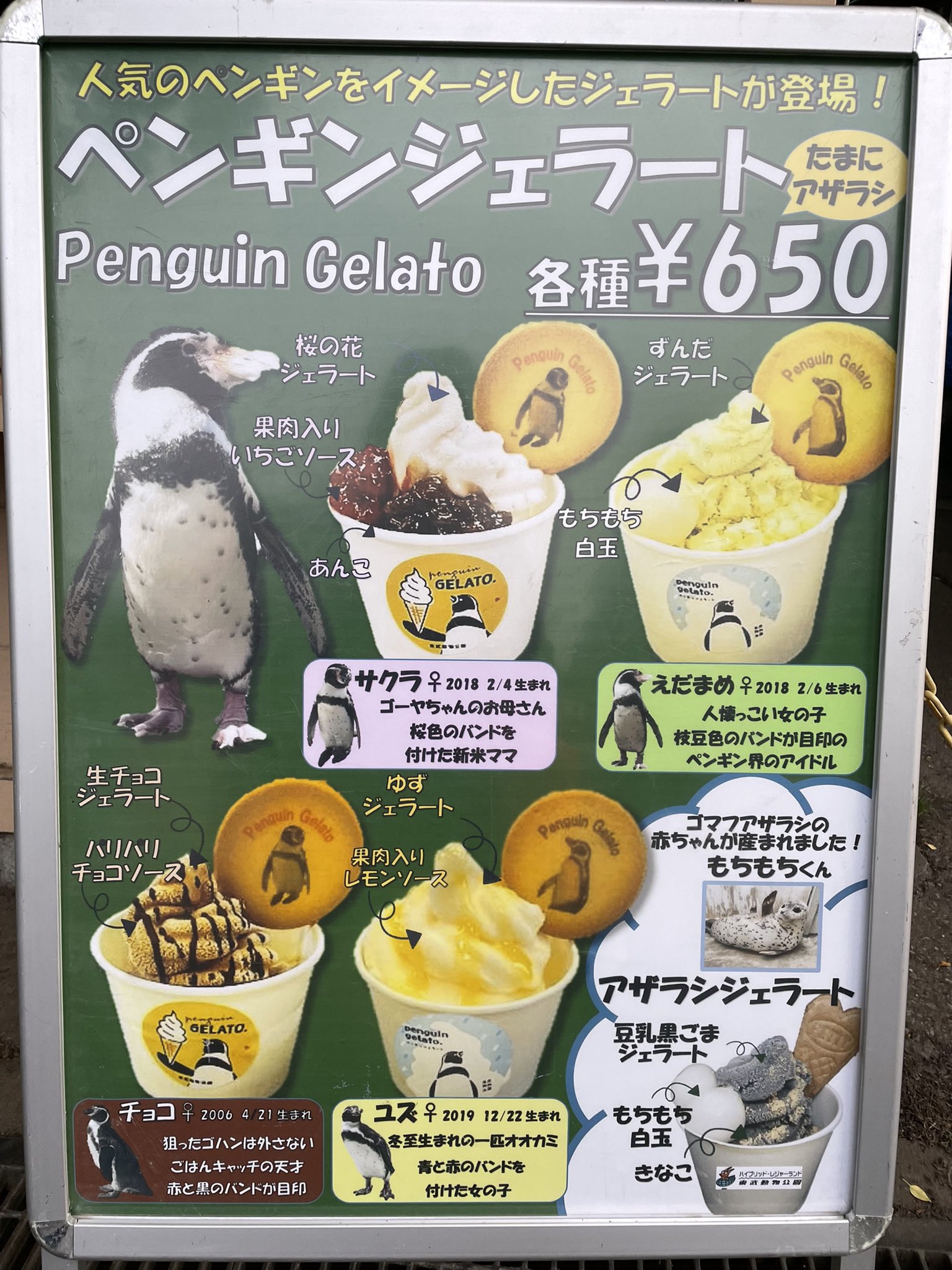 東武動物公園 公式 リュウくん 明日5 金 よりペンギンの大地前 Woody2にてペンギンジェラート たまに アザラシジェラートを発売致します 東武動物公園ペンギンの大地にいるペンギン達とアザラシのもちもちくんの名前をモチーフにしたジェラートと