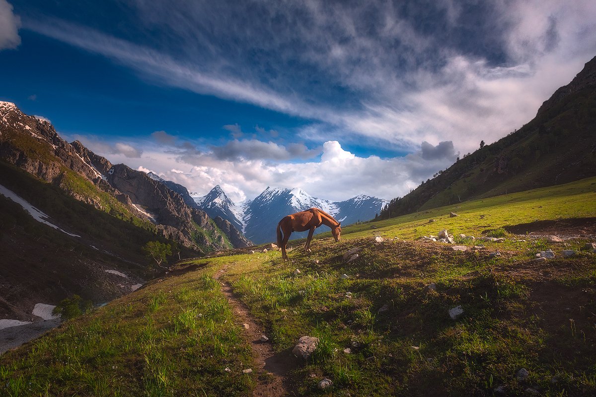 WaheedAkhtarNet's tweet image. Gm Fabio,
Have a great day too.