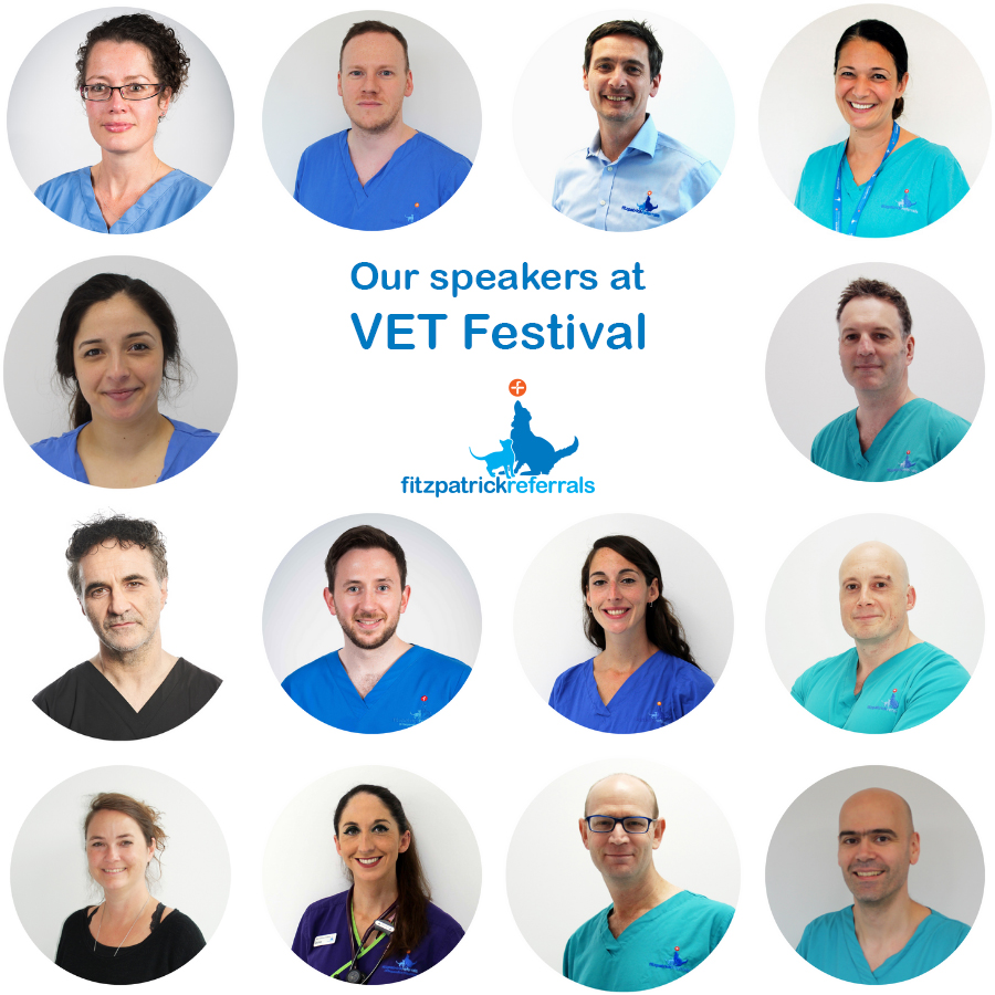 fitzpatrickref's tweet photo. We’re looking forward to @TheVETFestival 2022 returning tomorrow! 14 of our staff will be giving lectures at this 2-day #CPD event for veterinary professionals, which brings learning, festival fun & the fresh outdoors together. #VETFestival https://t.co/fMfJ7GgCty
