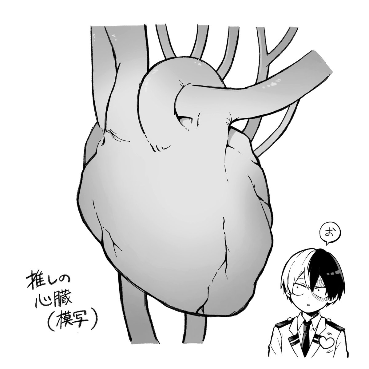 推しの心臓の模写です 