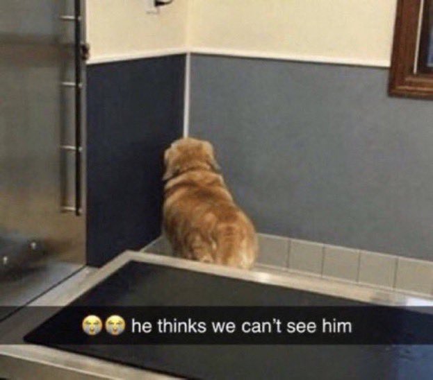 FTHe2YqXsAMEDyL.jpg