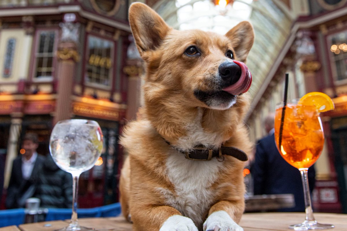 Music Rush Magazine tweet media