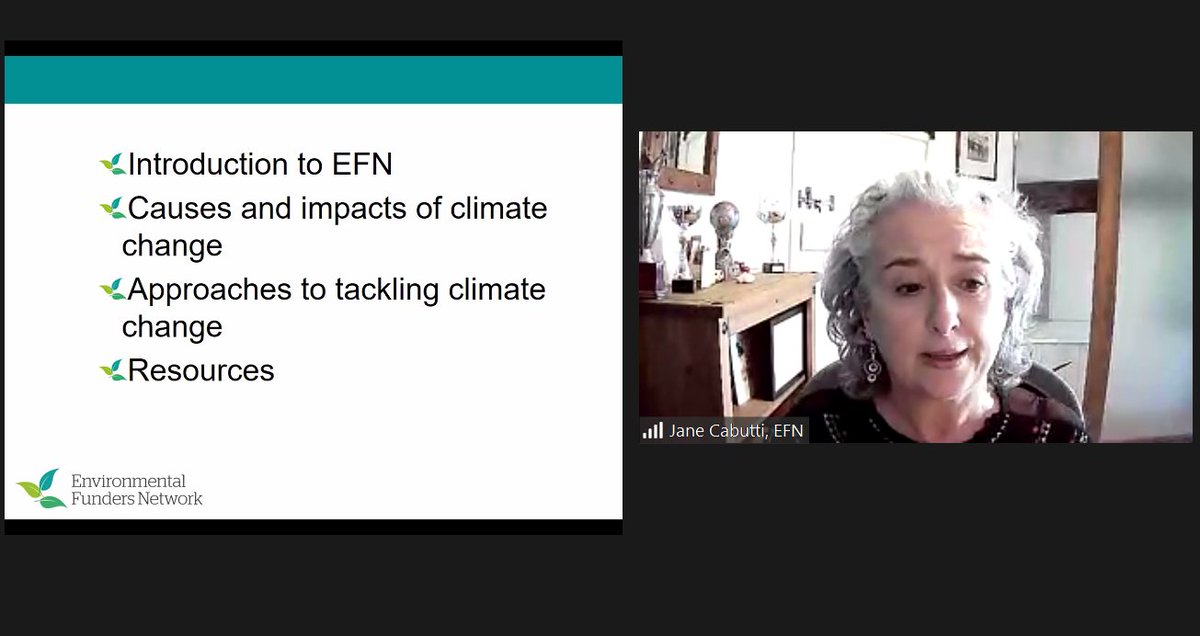 LondonFunders's tweet photo. 🧵We're now joined by @greenfunders @CityBridgeTrust &amp; @ImpUrbanHealth who are sharing how funders can act on the climate crisis 
#LdnLearnFest https://t.co/djnKiZT23i