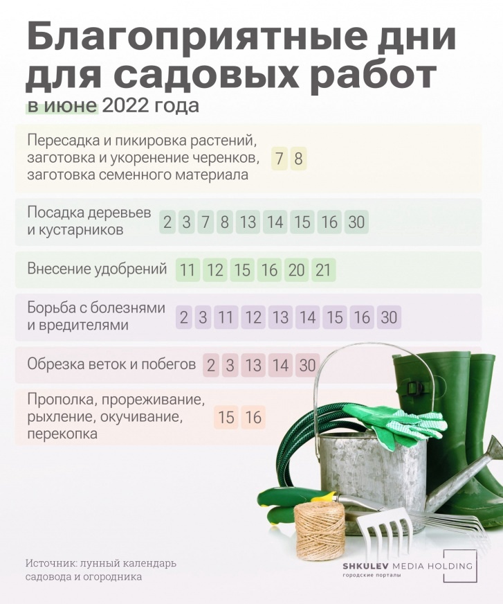 nacha_tumen's tweet image. 🍅🍆🥔🌶 Лунный календарь садовода на лето 2022 года. 

#Садоводы – сохраняйте себе 👇🏻

Казалось бы, основные посадочные работы уже позади и осталось только ухаживать за своим садовым богатством, но и тут не обходится без лунного календаря. Он вообще актуален круглый год. Стро...