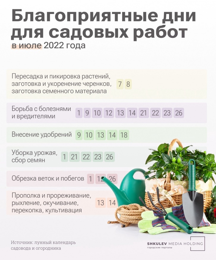 nacha_tumen's tweet image. 🍅🍆🥔🌶 Лунный календарь садовода на лето 2022 года. 

#Садоводы – сохраняйте себе 👇🏻

Казалось бы, основные посадочные работы уже позади и осталось только ухаживать за своим садовым богатством, но и тут не обходится без лунного календаря. Он вообще актуален круглый год. Стро...