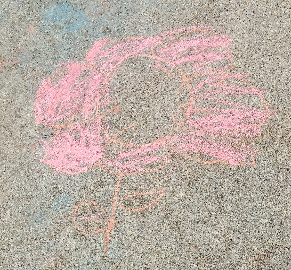 ErvingY5's tweet photo. On school sidewalks across America there are indicators that it is SPRING! https://t.co/egW5mVLW8x
