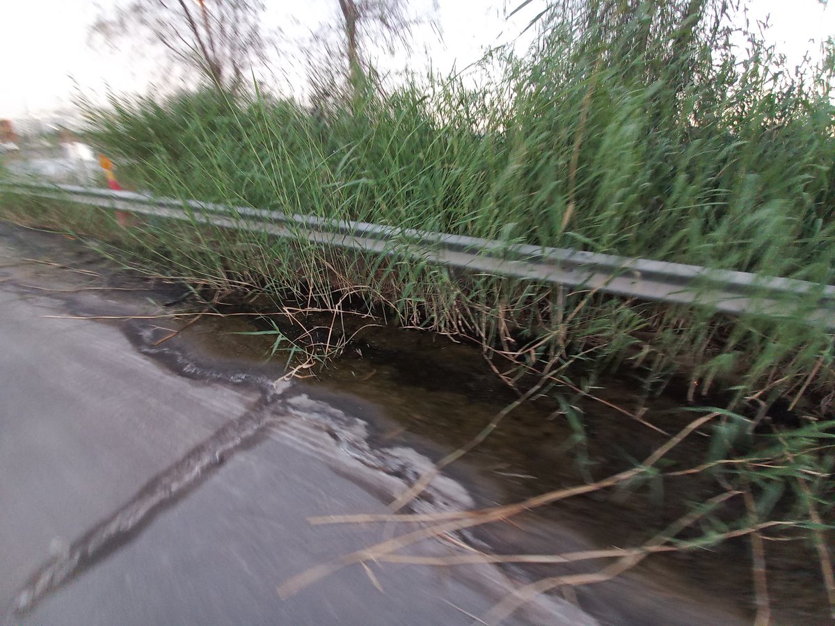 NorthernFerret's tweet photo. @dubaimunicipality - Is it possible to get the section of Cycle track between the E611 Emirayws Road just passed the new railway bridge and Cherrywoods community on Al Qudra Street cleared if the swamp and stagnant water that has been building up on the track for over a year! https://t.co/0RHPEFoMTE