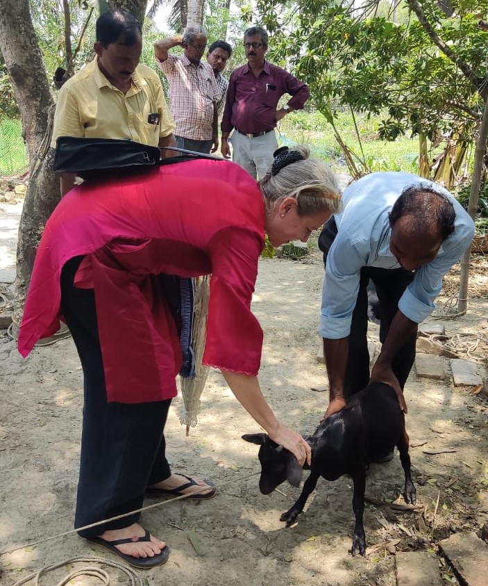 AusCGKolkata's tweet photo. Farmers in the Sunderbans are working with #ACIAR to try different methods to improve yields and help reduce the problem is salinity.
@ACIARAustralia https://t.co/InIb4N1Qv5