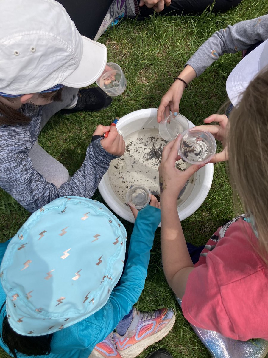Goodrich-Loomis Outdoor Education Centre tweet media