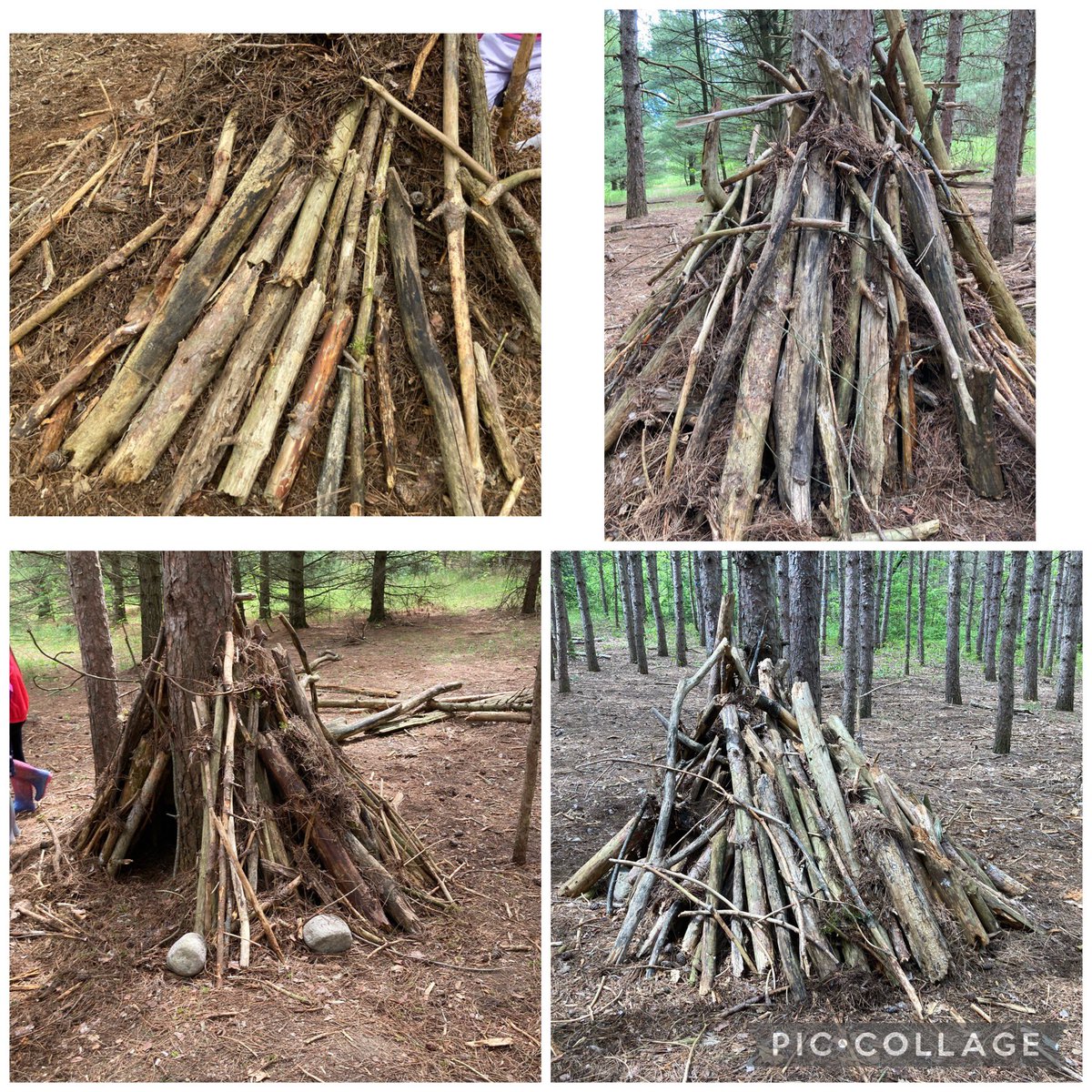 Goodrich-Loomis Outdoor Education Centre tweet media