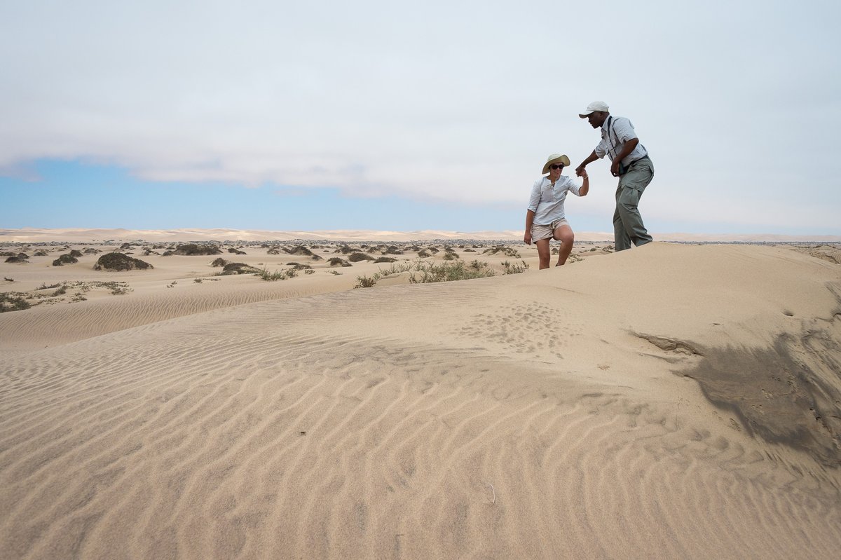 Tourism_Board's tweet photo. RECOMMENDED | A guided tour by an experience tour guide is recommended whenever you visit #Namibia. This because local tour guides have the experience and knowledge about the local fauna and flora.
#visitnamibia #guidedtour #NamibiaNOW #thisisnamibia https://t.co/PjSk1KM0Es