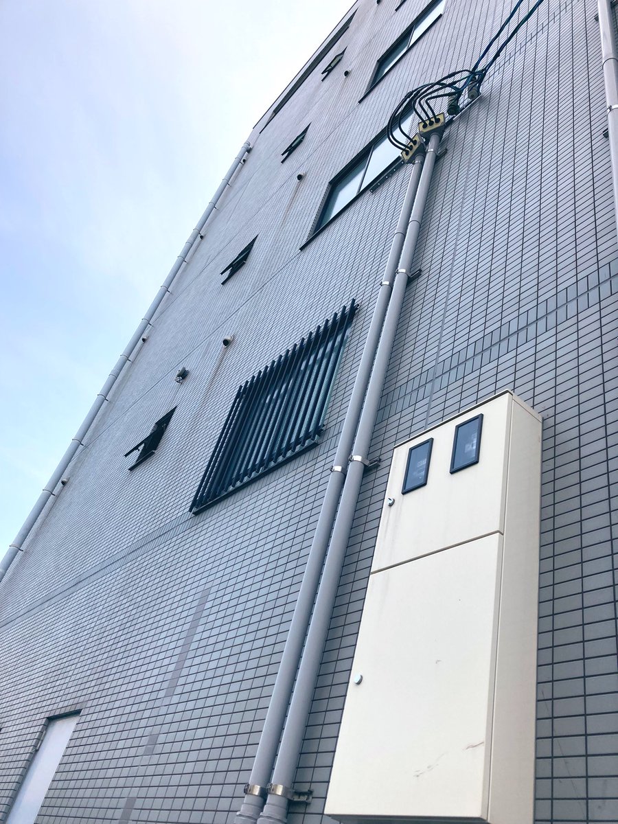 ochacochan2's tweet photo. 最近竹千代が写真撮るのにハマってて、スマホで勝手に色々取ってるんだけど、竹千代から見た世界が愛おしすぎて、何でもない写真なのに消せない🥹 https://t.co/yoFBVB5FfD