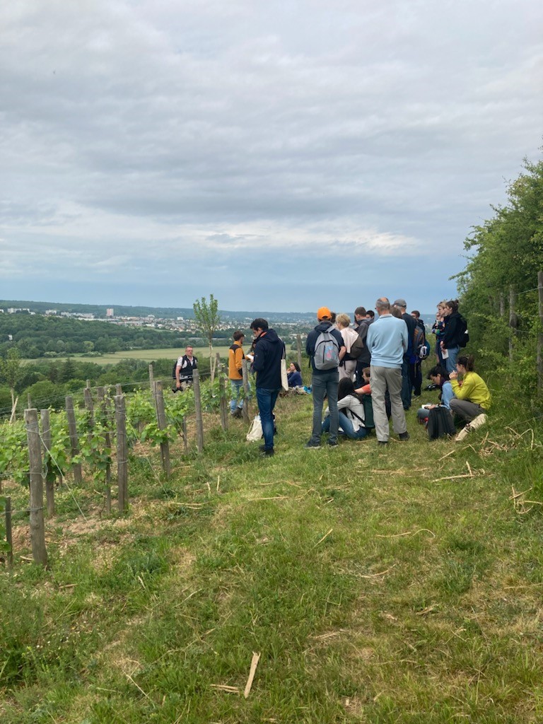 vdseine's tweet photo. Lancement du #VoyageAtelier Paysages et transitions, organisé dans la vallée de l’Epte par l'@ENSPaysage et l'@aurh_officiel dans le cadre du #CPIER @vdseine.
Camille Ravinet, paysagiste-viticulteur et Romain Bocquet, paysagiste-enseignant à l'ENSP, donnent le départ ! https://t.co/0MtJdYEgSn