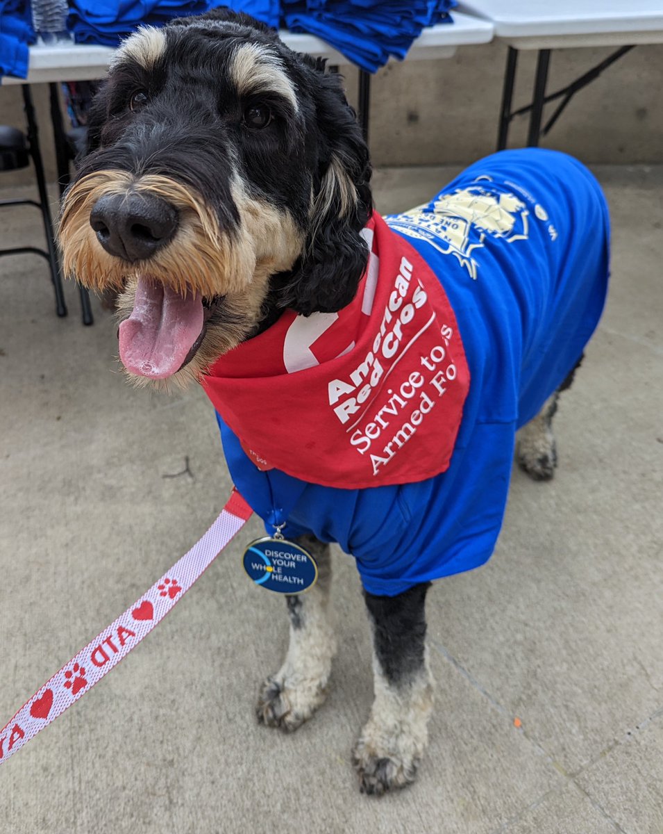 SAFJessica's tweet image. Thanks to Skully and all our human volunteers distributing water and supporting the @ClevelandVAMC VA 2K yesterday.  The annual VA2K event encourages people to live active lifestyles and allows participants to support homeless Veterans. @RedCrossNOH #volunteer @skullydoodle