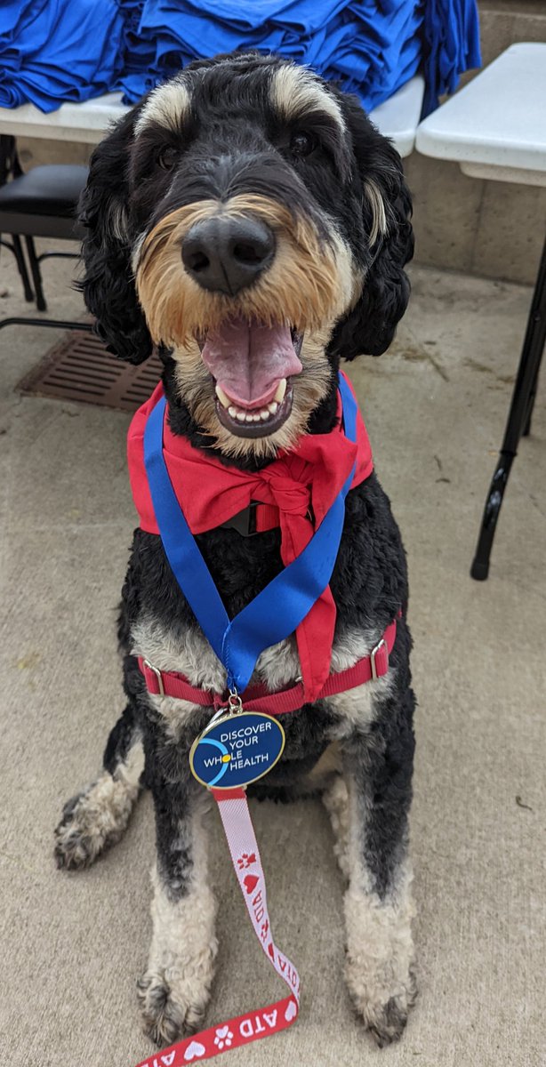 SAFJessica's tweet image. Thanks to Skully and all our human volunteers distributing water and supporting the @ClevelandVAMC VA 2K yesterday.  The annual VA2K event encourages people to live active lifestyles and allows participants to support homeless Veterans. @RedCrossNOH #volunteer @skullydoodle