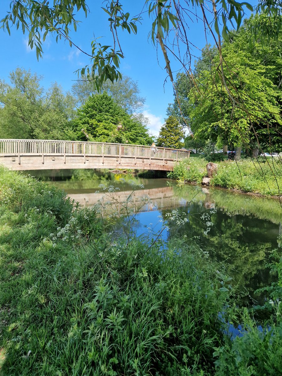 WILTSCIL's tweet photo. Nothing like connecting and killing two birds with one stone. Introducing walking to one and connecting another to Salisbury Fall Prevention.
#killingtwobirdswithonestone
#Wiltshire
#makesomeonewelcome
#communityconnecting
#goodlife
#wellbeingwalkssalisbury https://t.co/1lPX5x3wRP
