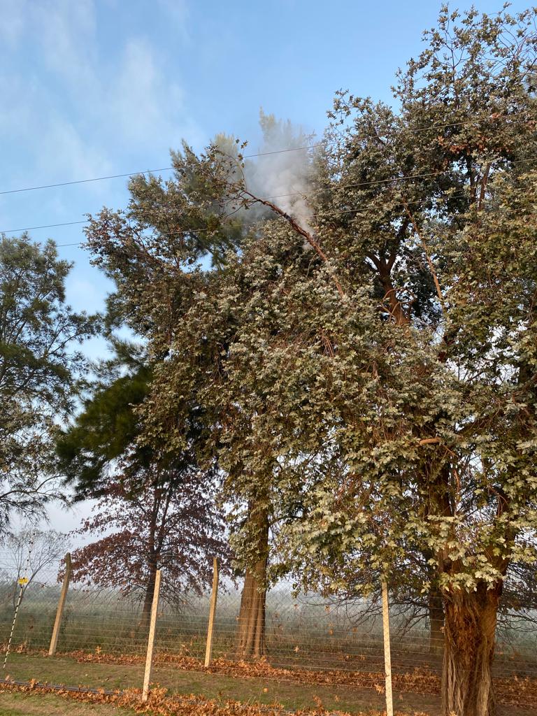 <a href="/EDENSAcomunica/">EDEN S.A.</a> estamos sin LUZ en barrio Cardales Village de Campana y aunque no hay viento,  NO HACEN LA PODA Y EXPLOTO UN TRANSFORMADOR DE 13 MIL V!!! <a href="/SebaAbella/">Sebastian Abella</a> nadie hace nada y lo venimos reclamando, nos cobran BL y no nos dan ningún servicio, HAGAN LA PODA SIN VERGÜENZAS
