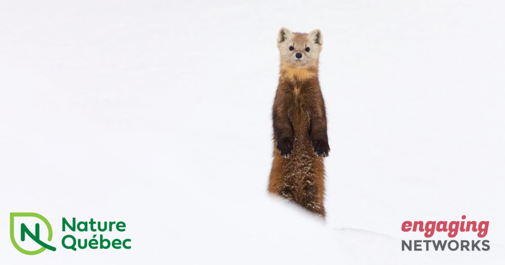 engagingnetwork's tweet photo. .@NatureQuebec needed an eCRM that could integrate seamlessly🤌 with @SalesforceOrg - they found the perfect solution in Engaging Network's Salesforce connector.
Read the full case study here: https://t.co/FH6j9otOFn
#nonprofitmarketing #nonprofitcasestudy #fundraising https://t.co/znlgAagkTq