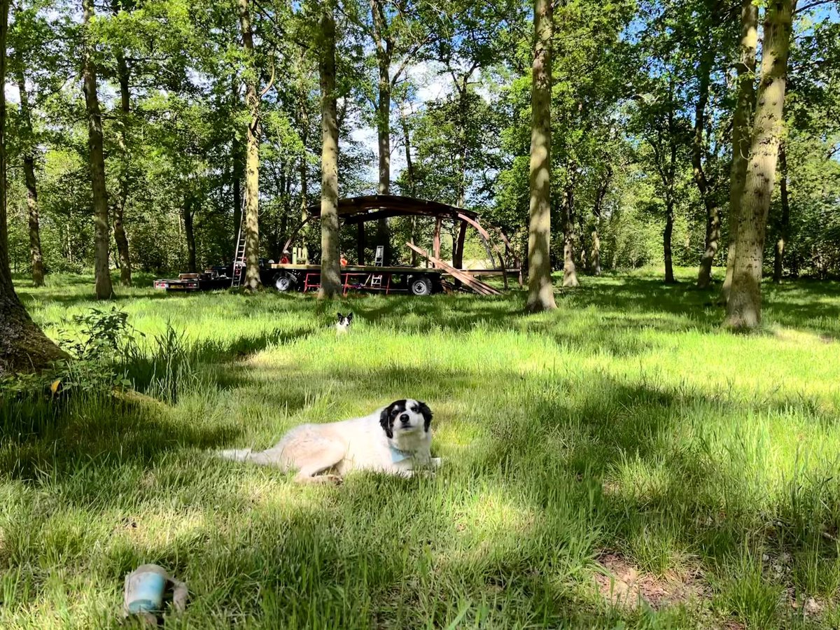 Just one week to go and these two good boys are helping to get the Woodland stage all set up and festival-ready! 🐕🌳 

We can't wait for our full "house" at next week's SOLD OUT Bearded Theory!! ✨✨
