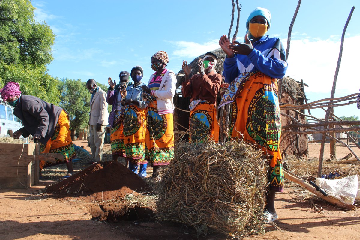 FAOMozambique's tweet photo. #FAOinAction 🇲🇿 Within Farmer Field Schools, to prevent the cattle🐄🐄🐄 from going hungry during the dry season, this group of women produces hay for scarcity period. In Gaza Province, @FAO is supporting communities to become resilient, facing #climatechange. #livestock #drought https://t.co/GymtZn5i0c