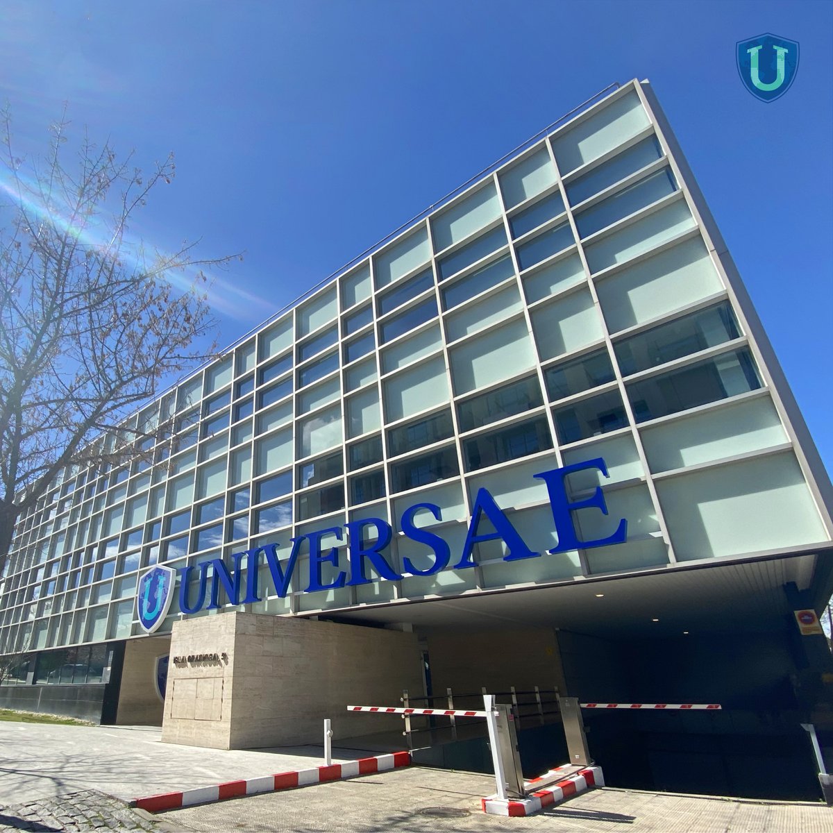 _Universae's tweet photo. 🌐 ¡Bienvenidos a nuestro nuevo Campus de Madrid! 

En estas recién estrenadas instalaciones se generarán sinergias de todo tipo. 

🔉 Estamos muy satisfechos por seguir impulsando la educación de calidad con la última tecnología. 

¡Os esperamos en Madrid! ✅
#Changeyourway https://t.co/HSxSAjWZNE
