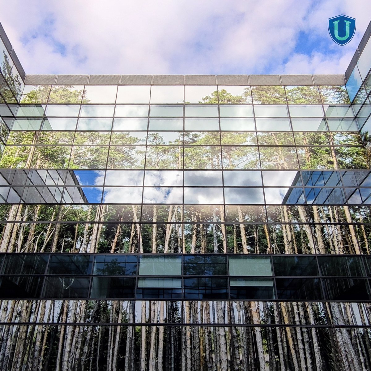 _Universae's tweet photo. 🌐 ¡Bienvenidos a nuestro nuevo Campus de Madrid! 

En estas recién estrenadas instalaciones se generarán sinergias de todo tipo. 

🔉 Estamos muy satisfechos por seguir impulsando la educación de calidad con la última tecnología. 

¡Os esperamos en Madrid! ✅
#Changeyourway https://t.co/HSxSAjWZNE
