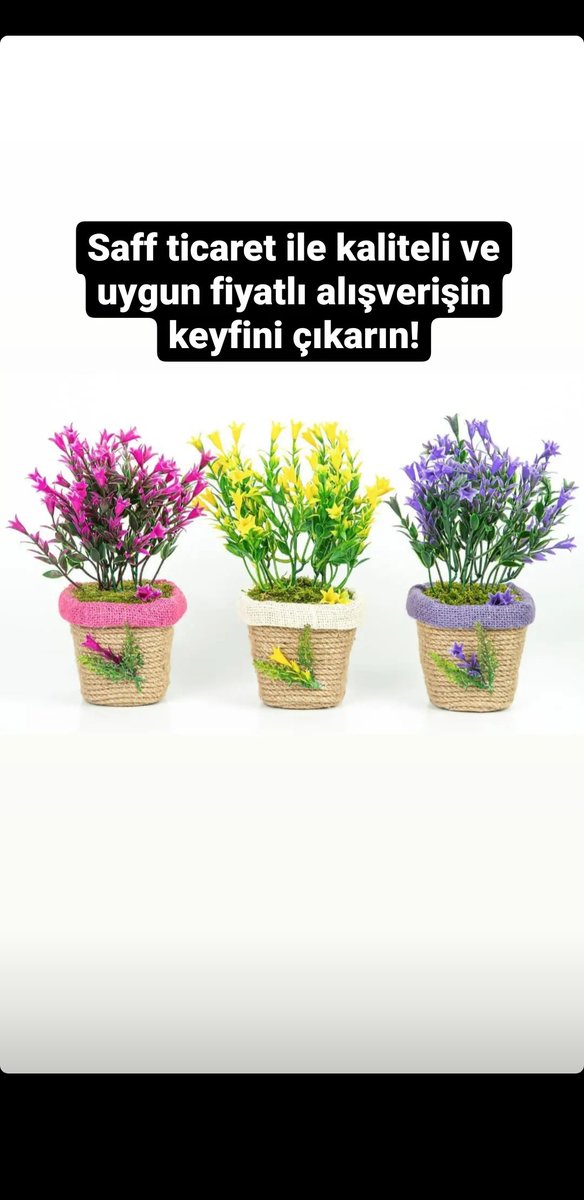 İnstagram: instagram.com/saffticaret?ut…
Saff ticaret yapay dekoratif saksılı ağaç ve çiçek 
#YalanaTalanaDoyduk #PolisinSesiDuyulsun #TesekkuerlerFahrettin #TTMKAPATILSIN #ibrahimkaypakkaya #TuerkanSaylan #SağlıkCoektueDoktorGoectue #SavcıEyuepİcinAdalet #15HaziranBordrosu #birseysoe