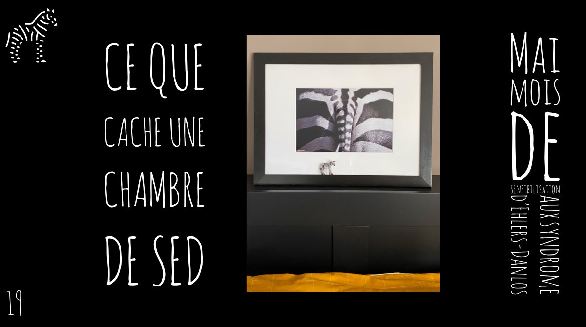Mai, mois de sensibilisation aux syndrome d’Ehlers-Danlos (SED) #myEDSchallenge  

Jour 19: ce que cache une chambre de SED