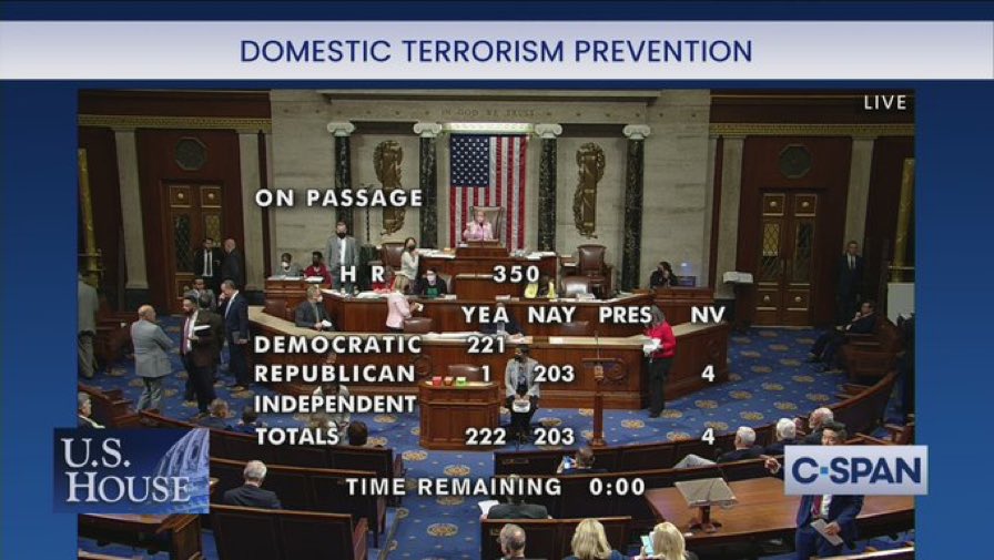CastelliMatt's tweet photo. First with her extremist rhetoric and now with her votes, Elise Stefanik gives aid and comfort to domestic terrorists.

Last night she voted AGAINST the Domestic Terrorism Prevention Act. 

She’s a threat to our security. We must replace #ExtremistElise this November. #NY21 https://t.co/7N27h71KA1