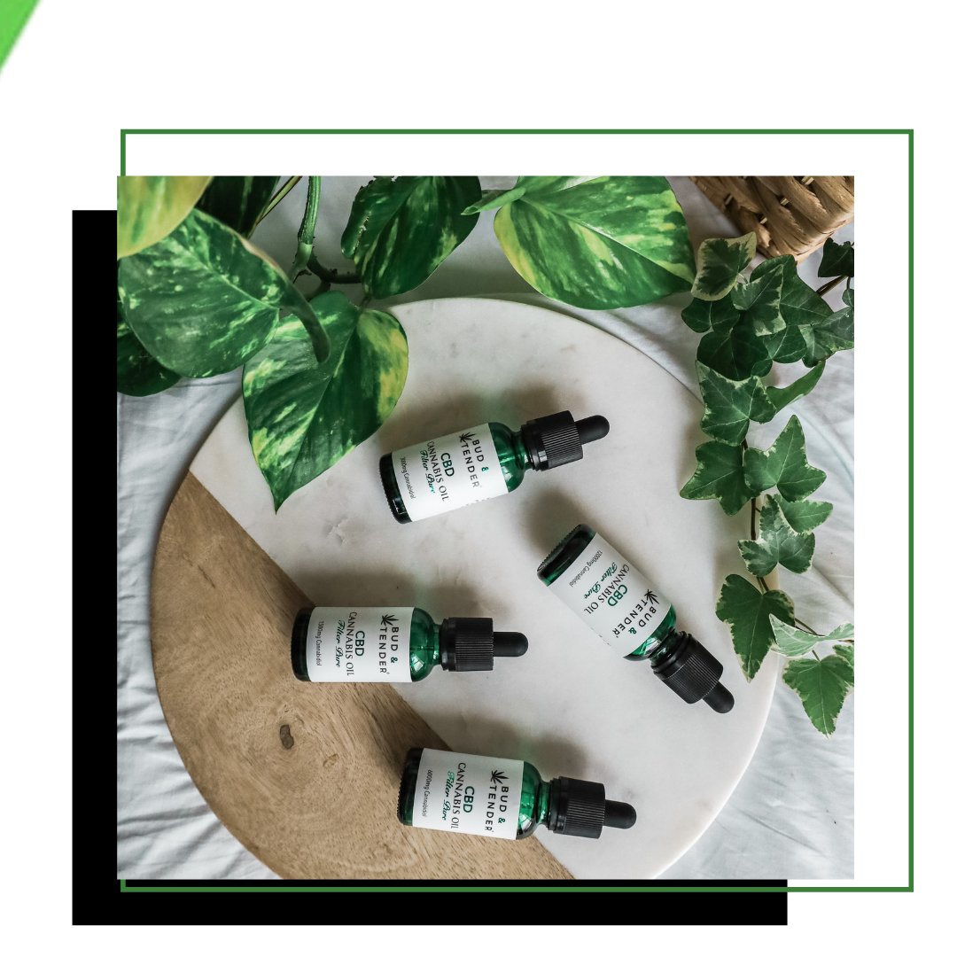 budandtender's tweet photo. How to choose the right type of CBD for me?

To choose the right CBD type that best suits you, first, you must think about what you want to use it for and when you would like use it.

#CBD #CBDOil #CannabisOil #CBDGummies #CBDCapsules #CBDeLiquids #CBDtopicals #BestCBDOil #CBDUK https://t.co/jG3Mn5mS0Q