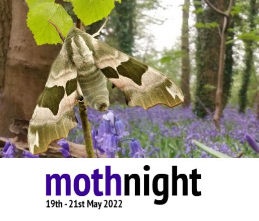 Insect Week (@insectweek) on Twitter photo #MothNight returns this weekend! Find out how to take part and help #record #moth #species at mothnight.info
<a href="/MothNight/">Moth Night 2022</a> <a href="/savebutterflies/">Butterfly Conservation 🦋</a> <a href="/AtroposJournal/">Atropos Journal and Books</a> <a href="/UK_CEH/">UK Centre for Ecology & Hydrology</a>
#MothsMatter #TeamMoth #Entomology #Science #Research #BioRecording #MothNight returns this weekend! Find out how to take part and help #record #moth #species at mothnight.info
<a href="/MothNight/">Moth Night 2022</a> <a href="/savebutterflies/">Butterfly Conservation 🦋</a> <a href="/AtroposJournal/">Atropos Journal and Books</a> <a href="/UK_CEH/">UK Centre for Ecology & Hydrology</a>
#MothsMatter #TeamMoth #Entomology #Science #Research #BioRecording