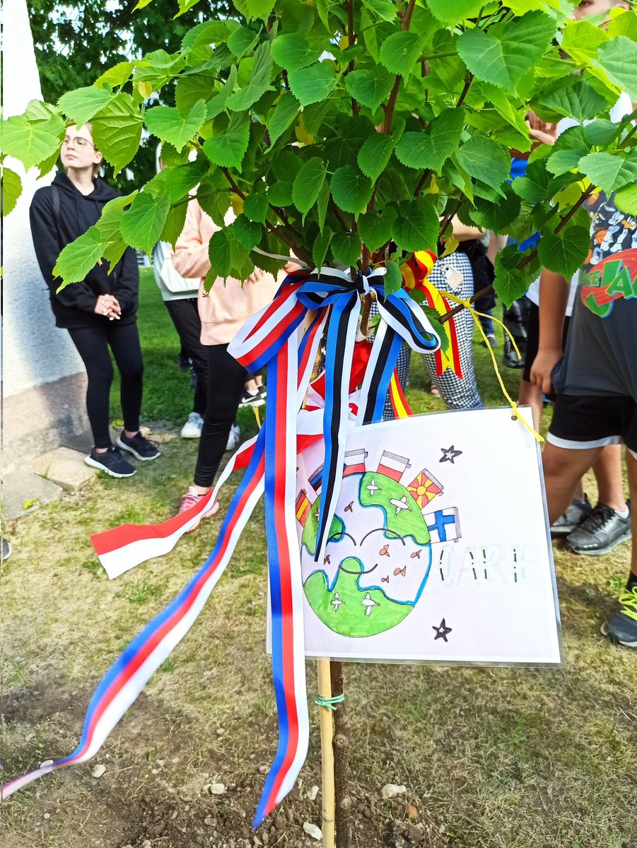 colesanba's tweet photo. Erasmus tree grows from yesterday in Hradec Králové. @sepiegob @andres_ajo1 @beatriztouron @esther_balaguer https://t.co/VZhsNqm4Va
