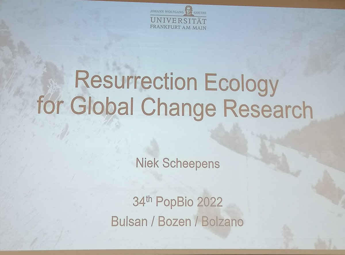 R_Rauschkolb's tweet photo. Looking forward to have @jfscheepens as keynote speaker presenting some of my research at the #PopBio conference in Bozen ๐๐ป๐
@APopbio @plantevoeco
#resurrection #seeds #ecology #bozen #plants #frankfurt #bozen https://t.co/Cw76m81xmX