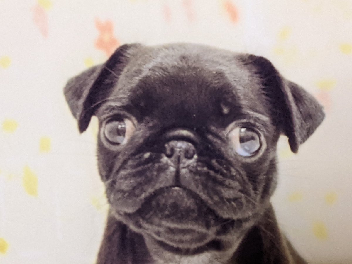 しーちゃん (@NUV3H5dBuUQNkXY) / Posts / X