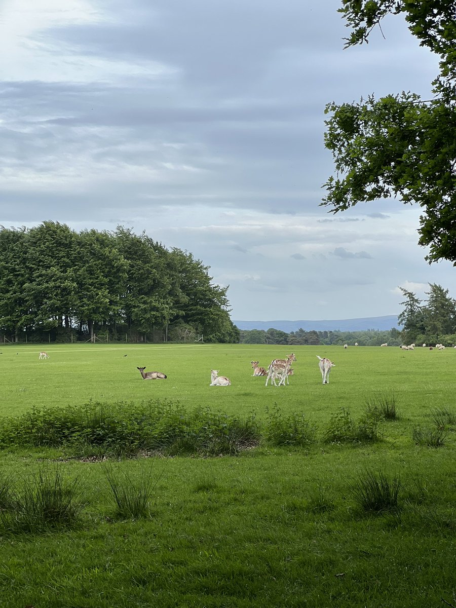 PeterNLindfield's tweet photo. This Saturday’s #heritage #ride with #RaphaManchester @rapha heads to @tatton_park to look at the #Georgian #countryhouse and #landscape for #localhistorymonth https://t.co/Y3yj9ihd8d