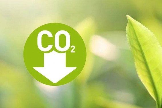 Alimen_21's tweet photo. .@GeotermiaISBRAN comprometido con la descarbonización del sector porcino

👉https://t.co/Am4Hg3cq2K

#porcino #industriacárnica #sostenibilidad #descarboxilación https://t.co/UHCW1HNjLt