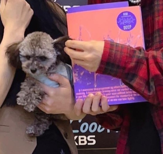 Nooooo this is sooo cuteeeeee 😭😭😭😭😭😭😭😭😭