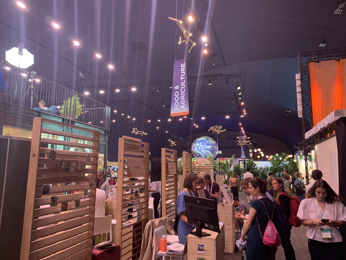 Macha La Hausse tweet media