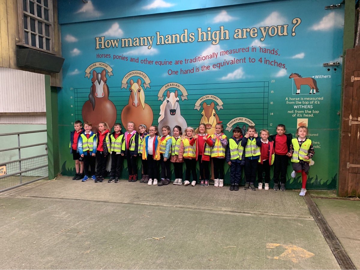Penclawdd's tweet photo. #PencFP #Pencwhales + #Pencsealions had a FABULOUS day @FollyFarmWales #winterofwellbeing #Pencfun #Pencmemories🙉🐮🦒🐄🦏🦁 https://t.co/91QsTGzrf0