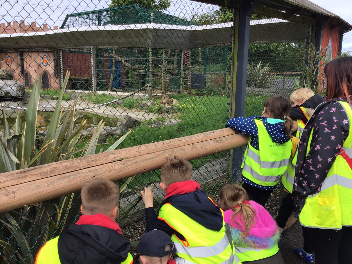 Penclawdd's tweet photo. #PencFP #Pencwhales + #Pencsealions had a FABULOUS day @FollyFarmWales #winterofwellbeing #Pencfun #Pencmemories🙉🐮🦒🐄🦏🦁 https://t.co/91QsTGzrf0