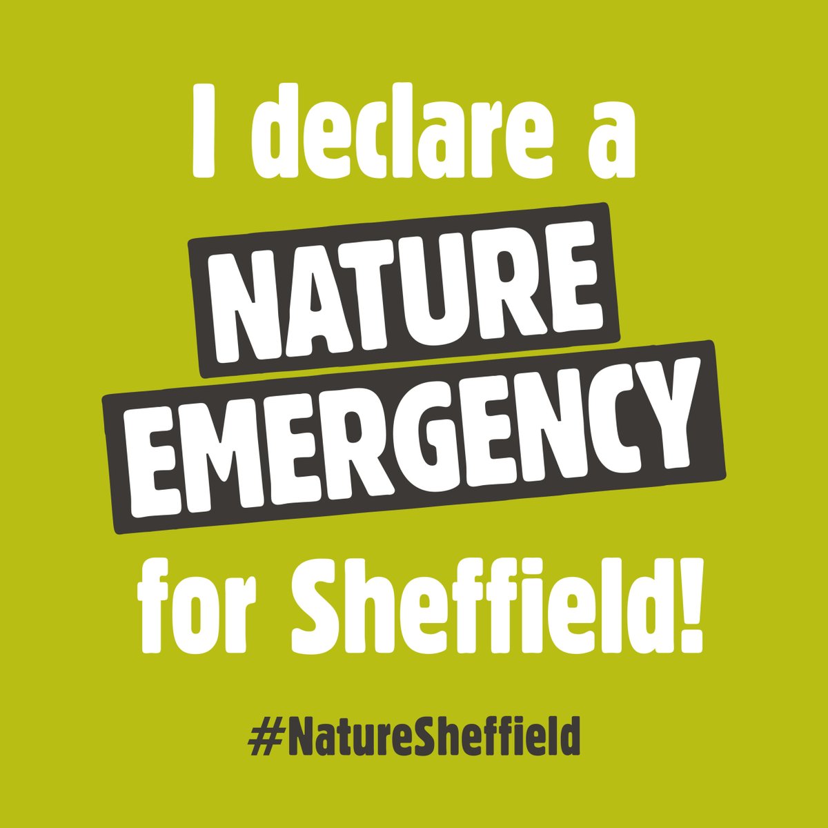 RecoveryNature's tweet photo. A year ago today, 1,300+ individuals and orgs joined us to declare a #NatureEmergency in #Sheffield! 

Since then, lots of you have been taking action for #nature. So we're launching #NatureHeroes - a space to thank you &amp; inspire others to take action too 💪💚🌱 #NatureSheffield https://t.co/j7J6vgOziC