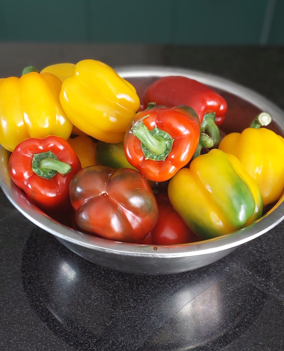 AmaremboFarm's tweet photo. Delicious peppers courtesy of the hardworking farmers at Amarembo Lakeside Farm #fresh #SupportSmallFarmers https://t.co/sUdC2dP9jM