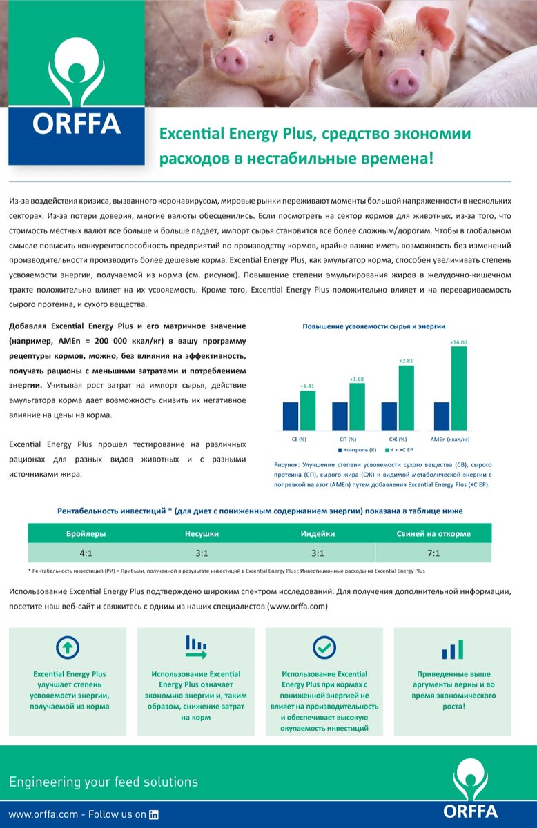 OrffaRussia's tweet photo. Повышение цен на продовольствие оказывает разрушительное воздействие на самых бедных и уязвимых слоев населения.
У фермеров сейчас есть беспрецедентная возможность повлиять на сложившуюся ситуацию в мире - включая в корма эмульгатор  #ЭнерджиПлюс. Больше корма - меньше денег. https://t.co/zIbGDhAnT0