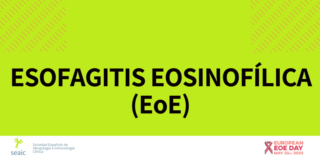 SEAIC_Alergia's tweet image. 🟢¿Qué es la Esofagitis Eosinofílica (#EoE)?🟢 Es un proceso inflamatorio crónico que afecta a la mucosa esofágica. 

🔎Inicialmente fue descrito en 1990 y más tarde, entre 2002 y 2004 se relacionó con la #alergia a alimentos.

#alergia 
#alimentos
#EoE
#EuropeanEoEday