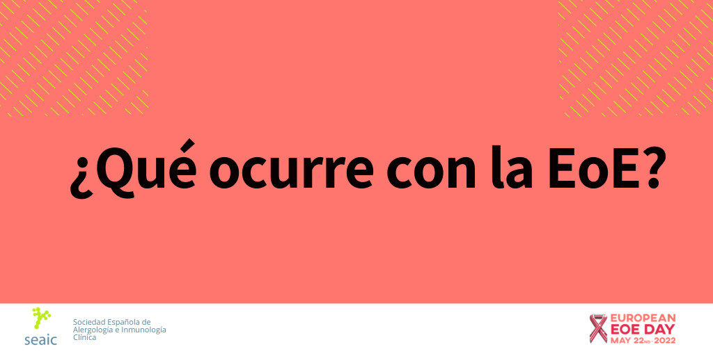 SEAIC_Alergia's tweet image. 🟢¿Qué ocurre con la Esofagitis Eosinofílica (#EoE)?🟢Se produce una inflamación crónica que da lugar a un mal funcionamiento del esófago y deja de ser un tubo elástico. Por ello, los alimentos masticados pueden producir dolor al no poder bajar hacia el estómago.