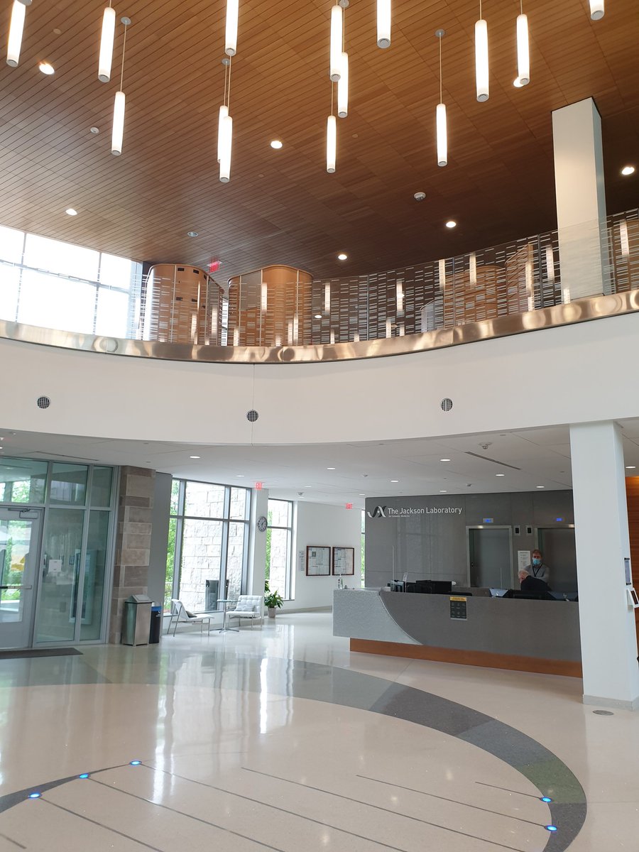 alvinwtng's tweet photo. Last day at @jacksonlab @JAX_Education for the #JAXLongReads workshop. Thank you for the hospitality and amazing talks from a stellar set of speakers. https://t.co/i3qtVjdRm6
