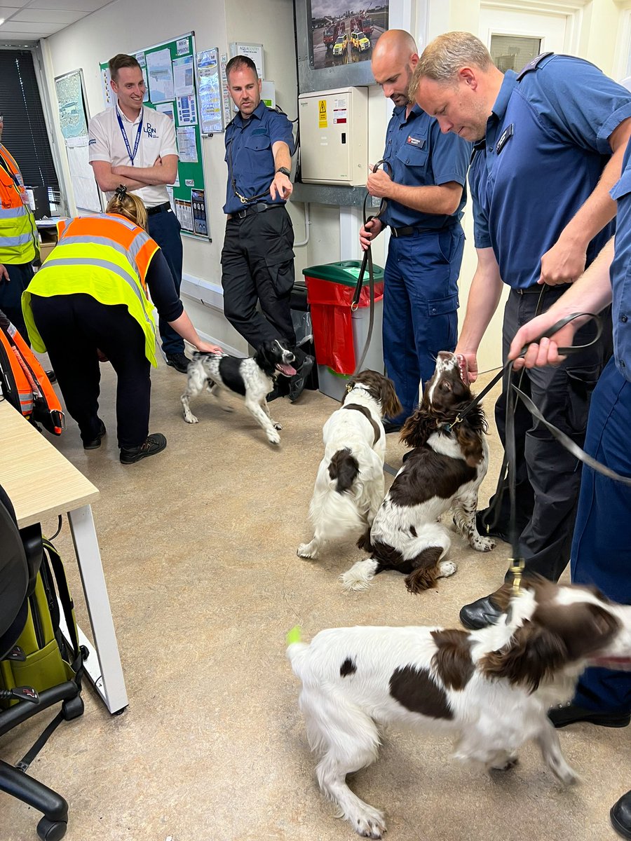 MPSCityAirport's tweet photo. Today we welcomed new recruits PD Scout, PD Kilo, PD Ronnie &amp; PD Doc @LondonCityAir. They are currently at Week 4 of an intensive 10 Week training program being over seen by PC Tindale. We look forward to seeing them &amp; their handlers again for #ProjectServator patrols #spaniels https://t.co/WW29tSy18J
