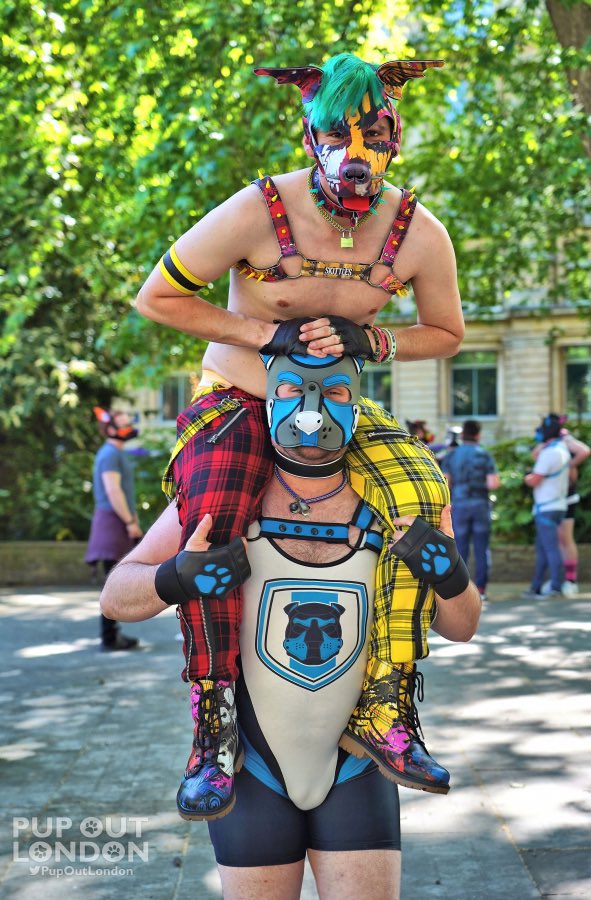 Pup Skittles 🍬 (@pup_skit) on Twitter photo ONWARDS NOBLE STEED!
<a href="/PupSumo/">Pup Sumo</a> is a good boy! 
<a href="/PupOutLondon/">Pup Out</a> is a great place to chill and hang out! 
#bemorepuppy ONWARDS NOBLE STEED!
<a href="/PupSumo/">Pup Sumo</a> is a good boy! 
<a href="/PupOutLondon/">Pup Out</a> is a great place to chill and hang out! 
#bemorepuppy